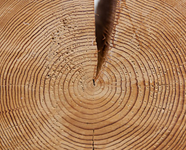 Wood_small.jpg