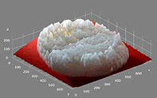cellulose_sponge_pic-tif.jpg