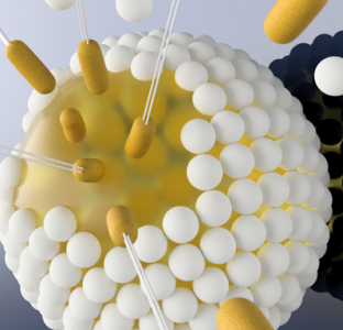 virus.png