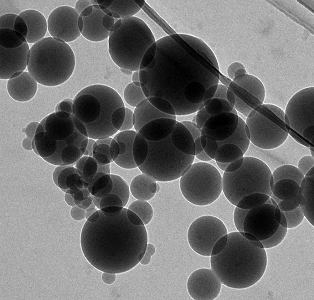 Lignin tem.jpg